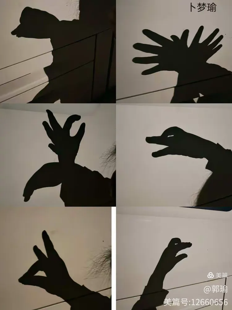 敦煌市北街小学一年级组语文实践活动《有趣的影子》作品展